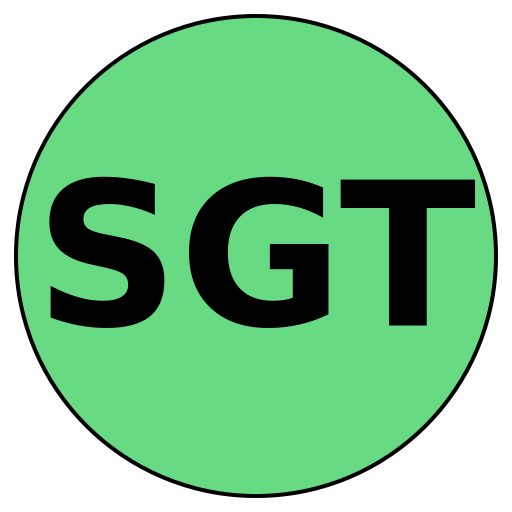 Savvy Gurus Travel